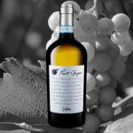 Scopri l’Eccellenza: Pinot Grigio DOC Vanzini