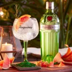 Il Cocktail Perfetto con Tanqueray Nº Ten: Una Guida Completa