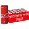 Coca Cola in Lattina 33 cl x 24 lattine